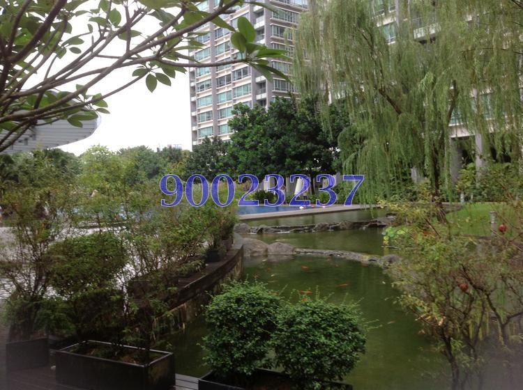Park Infinia At Wee Nam (D11), Condominium #93741332